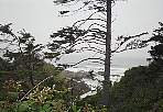 2002_08_Oregon_58_200208mp006_02120022.jpg