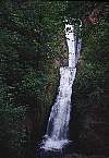 2002_08_Oregon_95_200208mp011_02120017.jpg