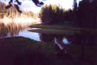 Yellowstone River