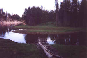 Yellowstone River