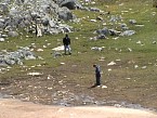 DSC03107.JPG