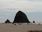 DSC03535.JPG