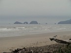 DSC03611.JPG