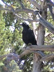 DSC04043.JPG