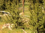 DSC04800.JPG