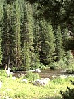 DSC04909.JPG